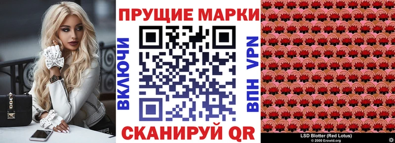 где купить   Алатырь  Марки N-bome 1,8мг 