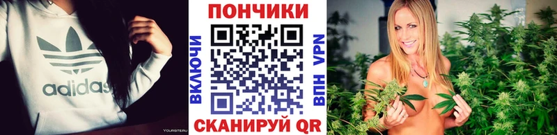 Шишки марихуана сатива  закладка  Алатырь 